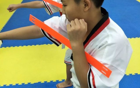 南宫娱乐-跆拳道夜战：天山飞鹰队绝杀河套犀牛队，速度优势明显观赏性拉满的简单介绍